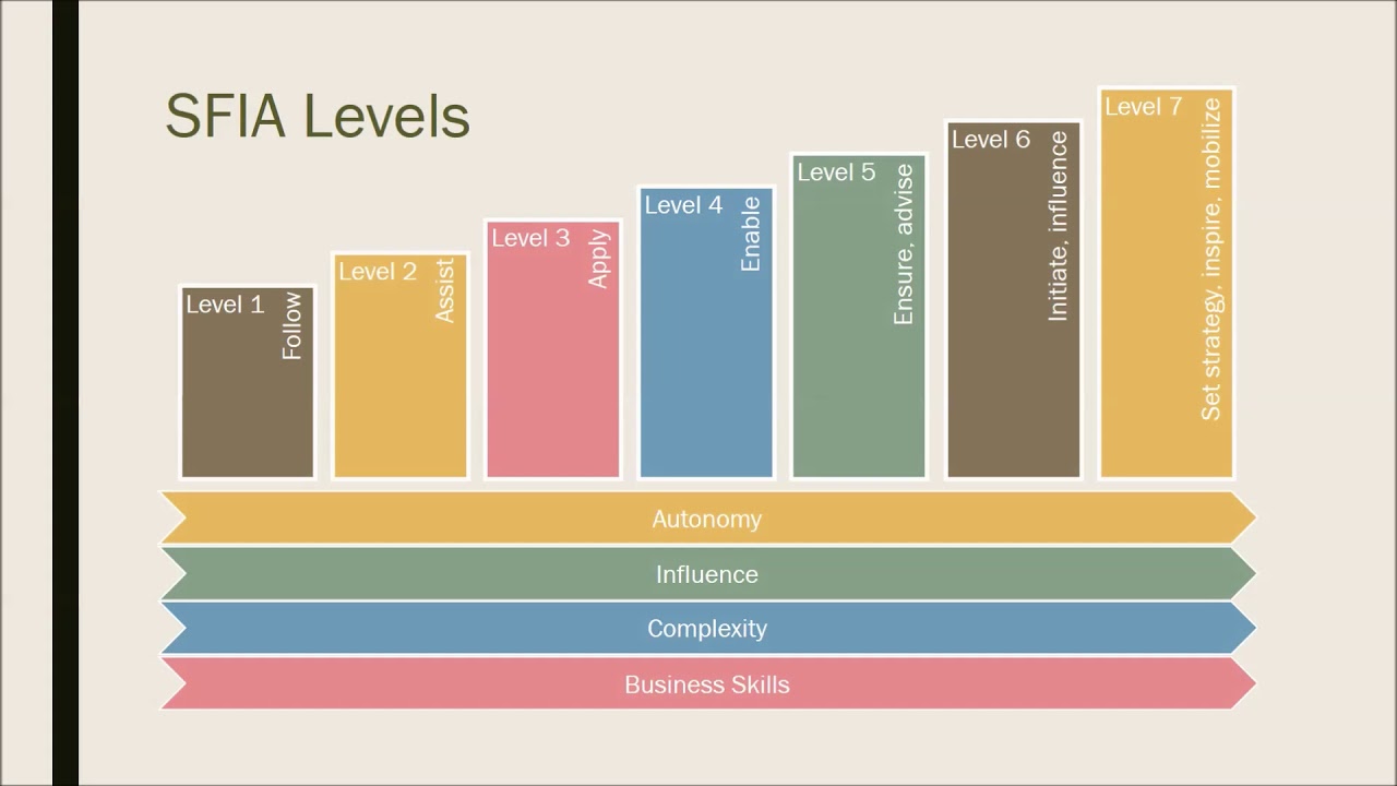 Visual representation of the SFIA competency framework structure